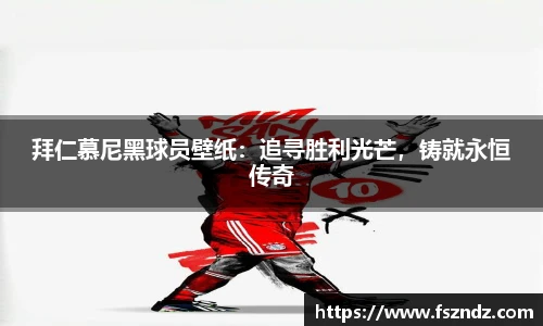 bsports官网入口