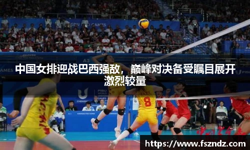 bsports官网入口