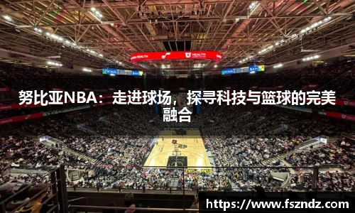 B体育bsports