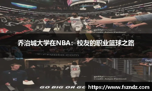 bsports官网入口