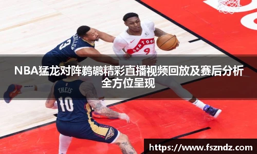 bsports官网入口