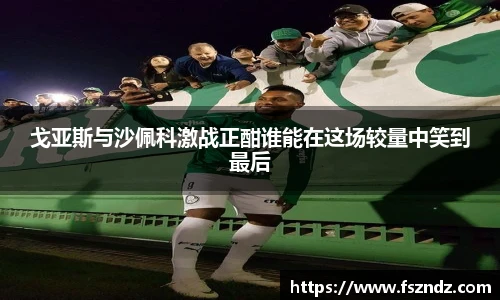bsports官网