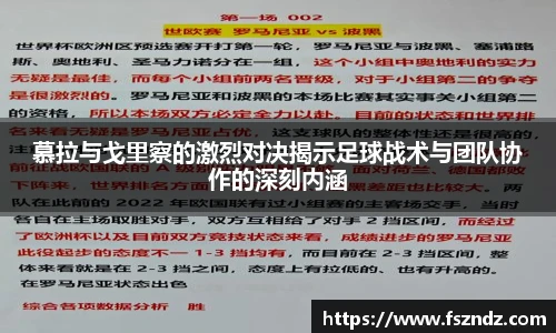bsports官网入口