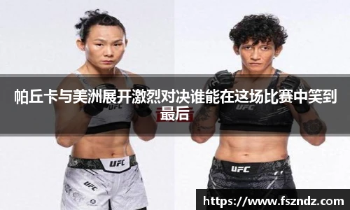 bsports官网入口