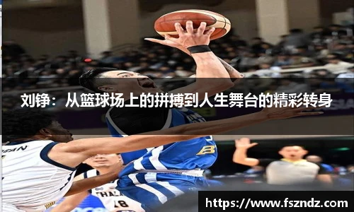 bsports官网入口