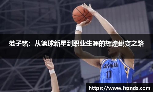 B体育bsports
